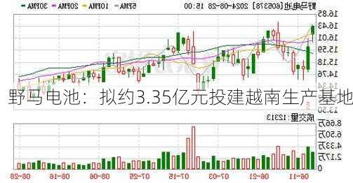 野马电池：拟约3.35亿元投建越南生产基地
