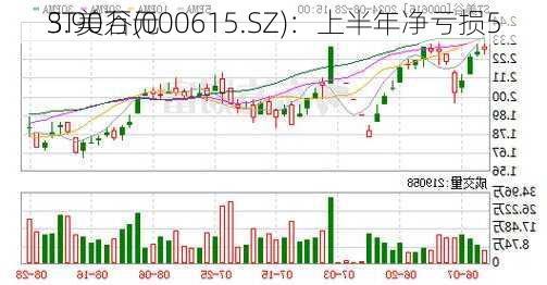 ST美谷(000615.SZ)：上半年净亏损5
3.90万元