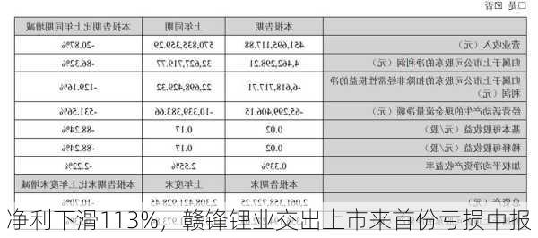 净利下滑113%，赣锋锂业交出上市来首份亏损中报