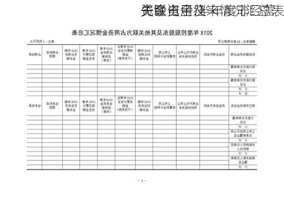 先锋电子:半年度非经营
资金占用及
关联资金往来情况汇总表