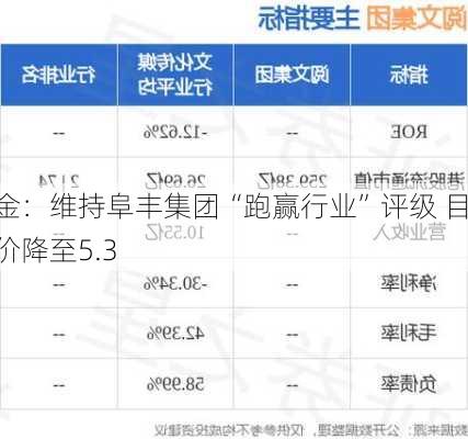 中金：维持阜丰集团“跑赢行业”评级 目标价降至5.3
元