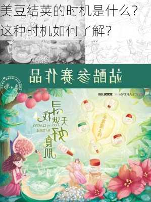 美豆结荚的时机是什么？这种时机如何了解？