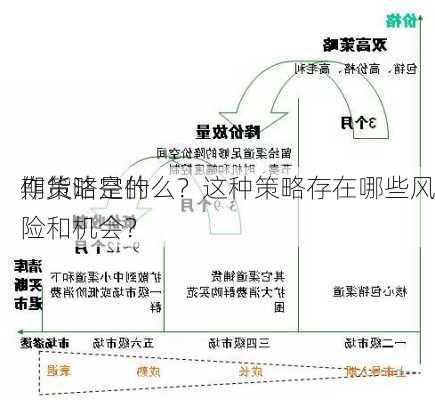 期货沽空的
作策略是什么？这种策略存在哪些风险和机会？