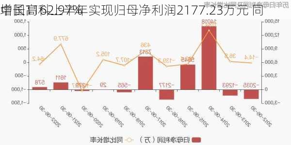 中国高科上半年实现归母净利润2177.23万元 同
增长1162.97%