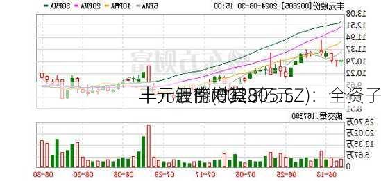 丰元股份(002805.SZ)：全资子
丰元锂能对其子
丰元云南增资3亿元