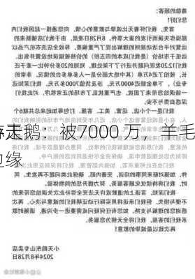 小天鹅：被7000 万，羊毛
游走边缘