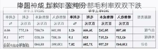 中国神华上半年盈利同
降超一成 煤炭、发电分部毛利率双双下跌