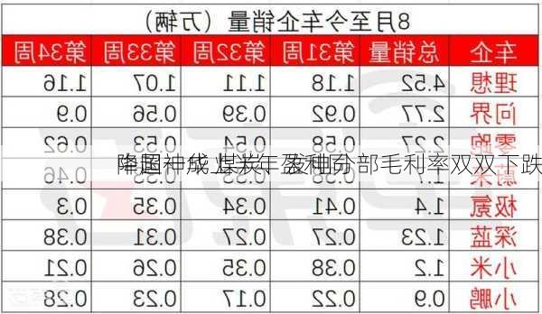 中国神华上半年盈利同
降超一成 煤炭、发电分部毛利率双双下跌