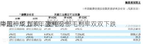 中国神华上半年盈利同
降超一成 煤炭、发电分部毛利率双双下跌