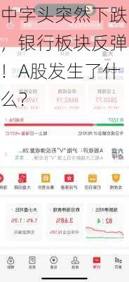 中字头突然下跌，银行板块反弹！A股发生了什么？