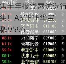 聚焦半年报线索优选行业龙头！A50ETF华宝（159596）
上涨