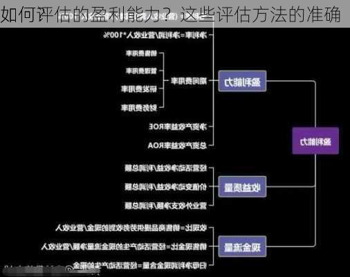 如何评估的盈利能力？这些评估方法的准确
如何？