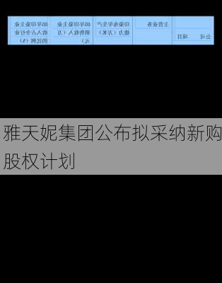 雅天妮集团公布拟采纳新购股权计划