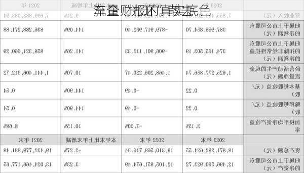 流量“光环”散去 
车企财报的真实底色