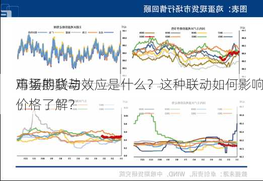 鸡蛋期货与
市场的联动效应是什么？这种联动如何影响价格了解？