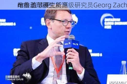 布鲁盖尔研究所高级研究员Georg Zach
nn：应该更
地推动可再生能源