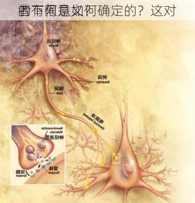 的下限是如何确定的？这对
者有何意义？