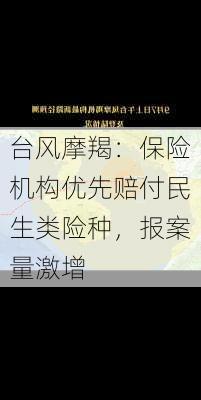 台风摩羯：保险机构优先赔付民生类险种，报案量激增