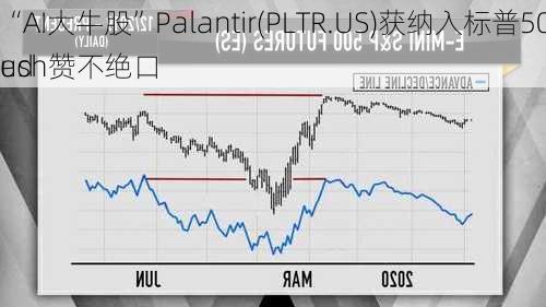 “AI大牛股”Palantir(PLTR.US)获纳入标普500指数 Wed
ush赞不绝口