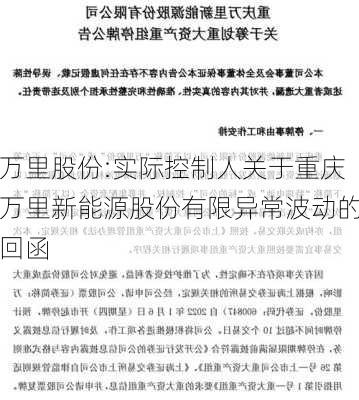 万里股份:实际控制人关于重庆万里新能源股份有限异常波动的回函