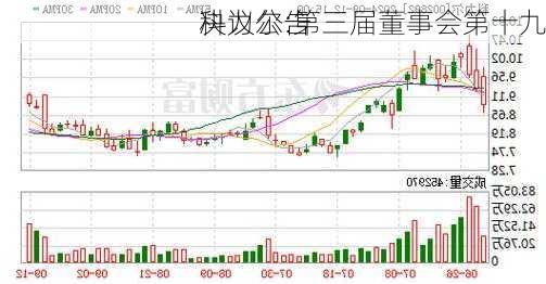 科力尔:第三届董事会第十九
决议公告