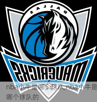 nba小牛是哪个球队,nba小牛是哪个球队的