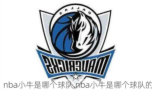 nba小牛是哪个球队,nba小牛是哪个球队的