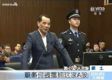 
职务侵占罪！这家A股
董事，被批捕！