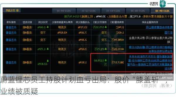 蔚蓝锂芯员工持股计划血亏出局：股价“膝盖斩”，业绩被质疑