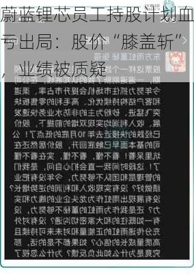 蔚蓝锂芯员工持股计划血亏出局：股价“膝盖斩”，业绩被质疑