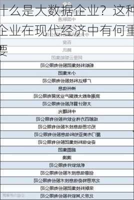 什么是大数据企业？这种企业在现代经济中有何重要
？