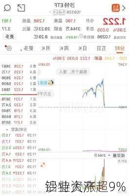 
铝业大涨超9% 
沙特资产