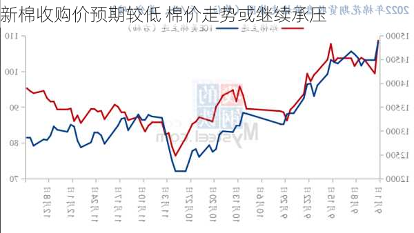 新棉收购价预期较低 棉价走势或继续承压