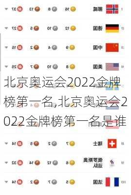 北京奥运会2022金牌榜第一名,北京奥运会2022金牌榜第一名是谁