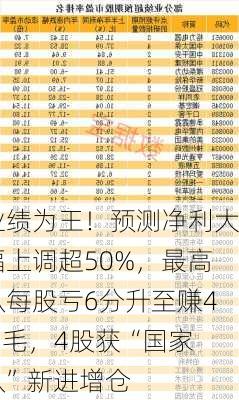 业绩为王！预测净利大幅上调超50%，最高从每股亏6分升至赚4.6毛，4股获“国家队”新进增仓