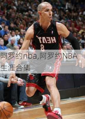 阿罗约nba,阿罗约NBA生涯合集