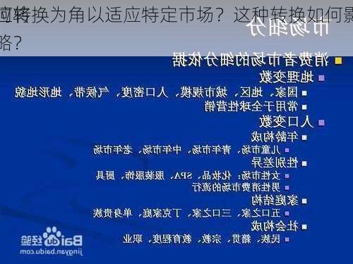 如何将
单位转换为角以适应特定市场？这种转换如何影响
策略？