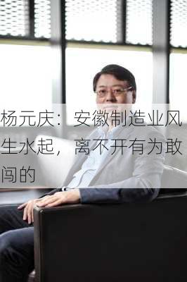 杨元庆：安徽制造业风生水起，离不开有为敢闯的
