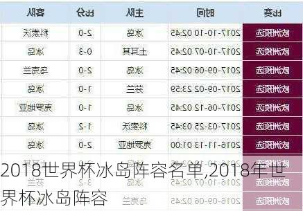 2018世界杯冰岛阵容名单,2018年世界杯冰岛阵容