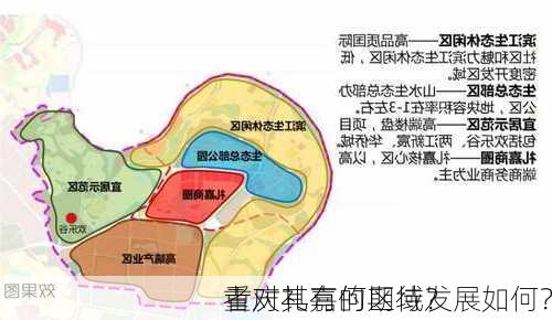 重庆礼嘉的区域发展如何？
者对其有何期待？