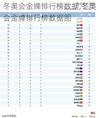 冬奥会金牌排行榜数据,冬奥会金牌排行榜数据图