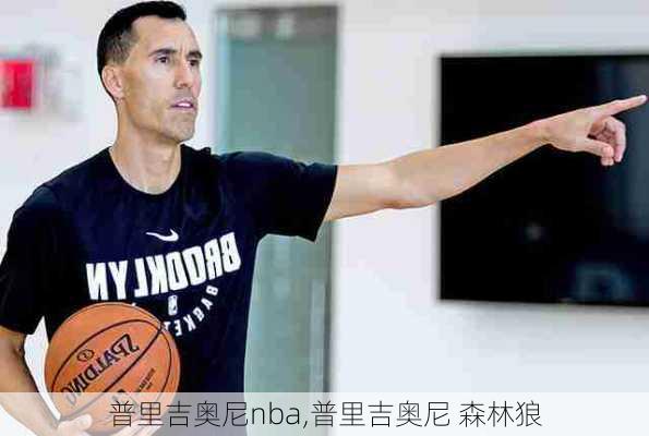 普里吉奥尼nba,普里吉奥尼 森林狼