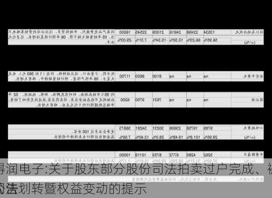 得润电子:关于股东部分股份司法拍卖过户完成、被司法划转暨权益变动的提示
公告