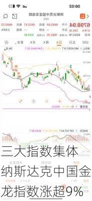 
三大指数集体纳斯达克中国金龙指数涨超9%