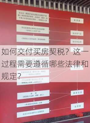 如何交付买房契税？这一过程需要遵循哪些法律和规定？