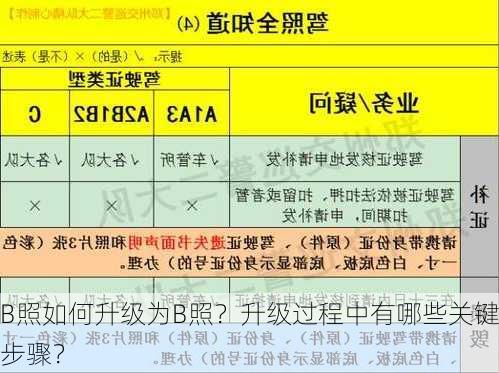 B照如何升级为B照？升级过程中有哪些关键步骤？