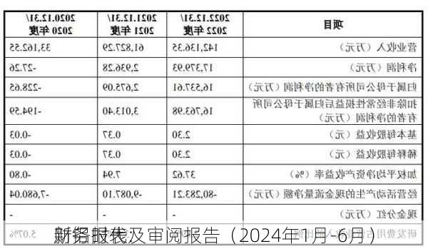 新铝时代:
财务报表及审阅报告（2024年1月-6月）