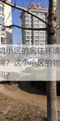 昌鸿小区的居住环境如何？这个小区的物业
如何？