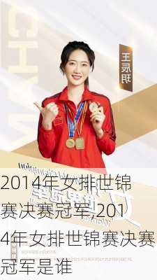 2014年女排世锦赛决赛冠军,2014年女排世锦赛决赛冠军是谁