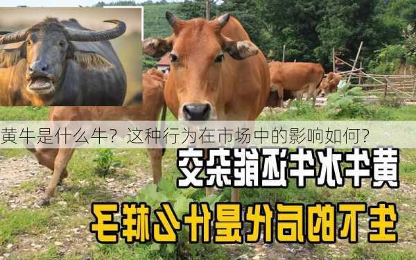 黄牛是什么牛？这种行为在市场中的影响如何？